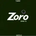 Zoro to#zoro.to#zoroto replacement#why is zoro called zolo in the manga#zoro slur