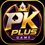 Pkplus is the most reliable and most useful online earning app in pakitan